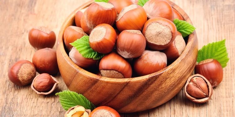 Fındık üreticilerine bahçeli eğitim hazırlığı