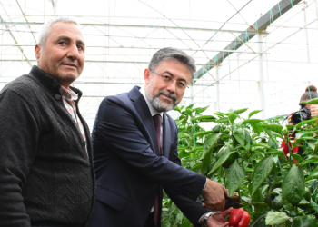 Tohumda dünya ile boy ölçüşecek durumdayız