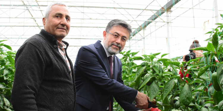 Tohumda dünya ile boy ölçüşecek durumdayız