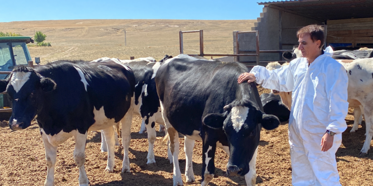 Şap hastalığına karşı tedbir ve aşı uygulaması