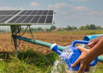 Tarım yatırımlarında sulamanın payı arttı