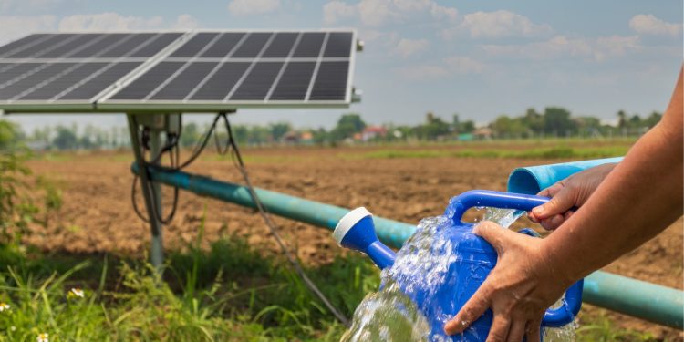 Tarım yatırımlarında sulamanın payı arttı