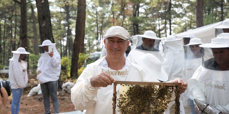 Balparmak enerjisini global başarıya taşıyacak