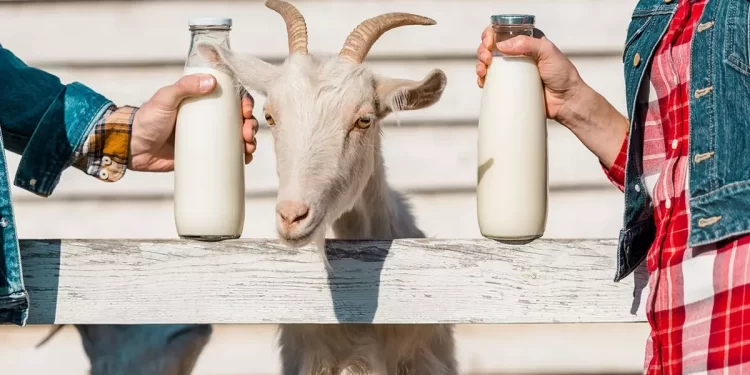 Süt ürünleri sektörü talep ve istikrara odaklandı