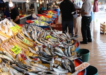 Su ürünleri sektörü 2 milyar  dolar gelir hedefine odaklandı