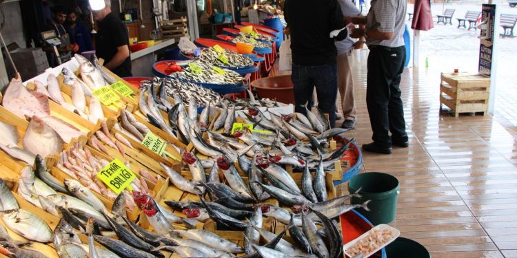 Su ürünleri sektörü 2 milyar  dolar gelir hedefine odaklandı