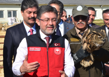 Aile işletmelerine hayvancılık desteği