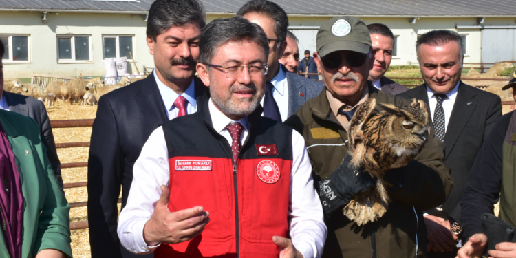 Aile işletmelerine hayvancılık desteği