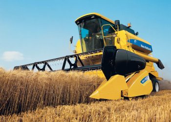 Buğday ve arpada rekolte beklentisi yükseldi