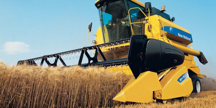 Buğday ve arpada rekolte beklentisi yükseldi