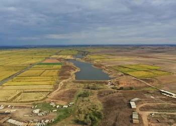 Edirne’de binlerce dönüm arazi suyla buluşturulacak