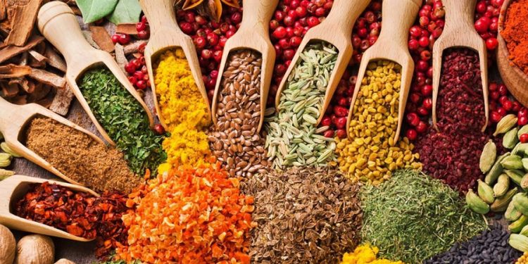 Bizim Toptan’dan “Anadolu tadı” atılımı