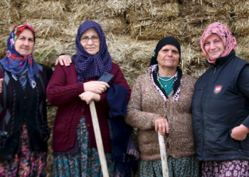 Tarım ve hayvancılık kadın eliyle büyüyor