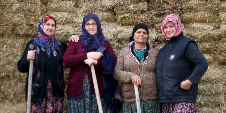 Tarım ve hayvancılık kadın eliyle büyüyor