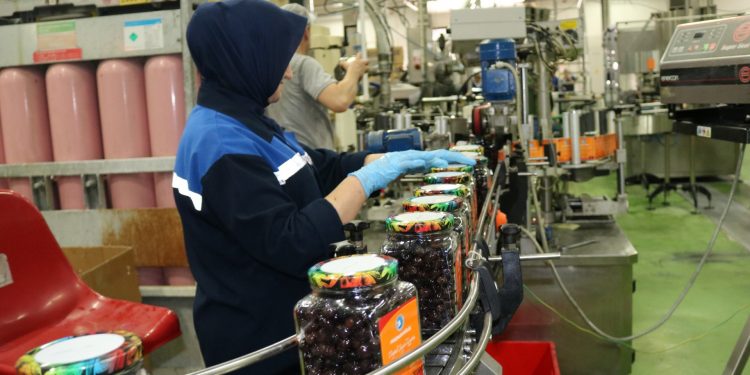 Marmarabirlik’ten üreticiye 860 milyon liralık kredi desteği