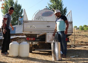 Süt toplama merkezleri üreticileri takviye edecek