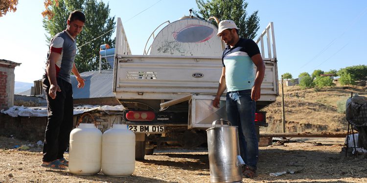 Süt toplama merkezleri üreticileri takviye edecek
