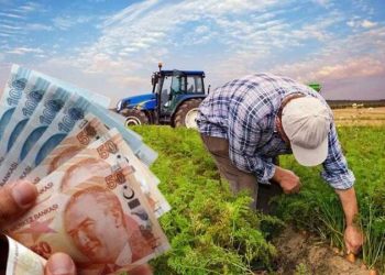 Çiftçilere 142,6 milyon liralık destek ödendi