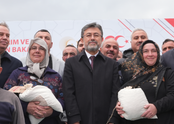 Tohumculukta dünyada  sayılı ülkelerdeniz