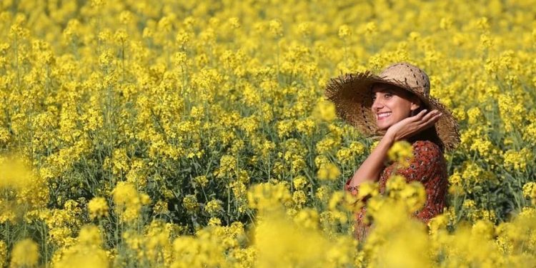 Trakya’da yağışlar buğday  ve kanola üreticisini sevindirdi