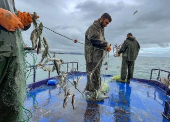 Van Gölü’nün yaşamına  sıkı koruma tedbiri