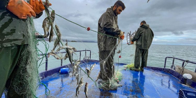 Van Gölü’nün yaşamına  sıkı koruma tedbiri