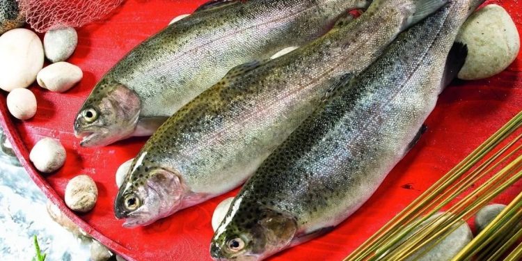 Alabalık üretiminde  sürdürülebilir adımlar