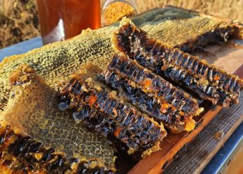 Arı sütü ve polene  madde eklenemeyecek