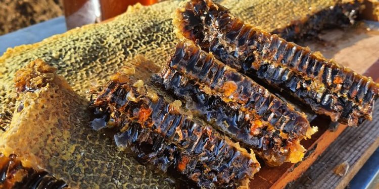 Arı sütü ve polene madde eklenemeyecek