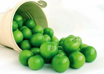 Yağışlar erikte hasadı bir hafta öne çekti