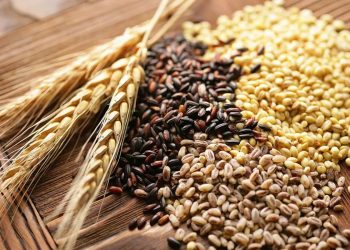 Hububat ihracatı 5 ayda 5 milyar dolara ulaştı