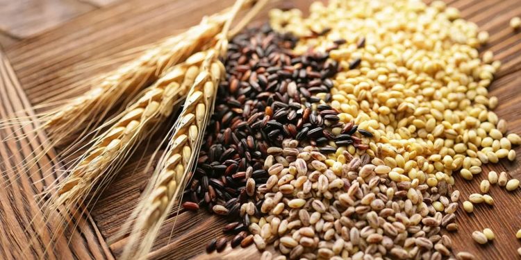 Hububat ihracatı 5 ayda 5 milyar dolara ulaştı