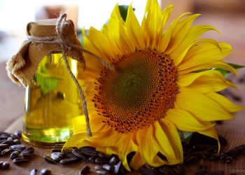 Soya ve ayçiçek için  verim artırma planı