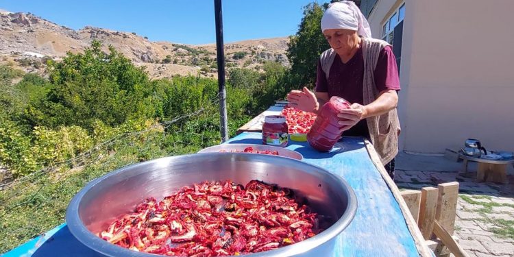 Kışlık sebze için hazırlıklar başladı