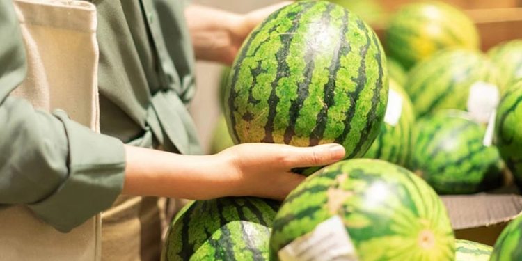 Hıdıroz karpuzu tezgahlarda yerini aldı