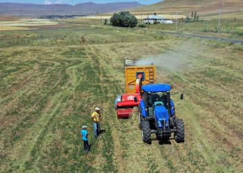 Tarım sektörü ihracatta rekor kırmayı sürdürüyor
