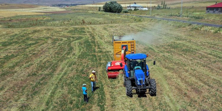 Tarım sektörü ihracatta rekor kırmayı sürdürüyor
