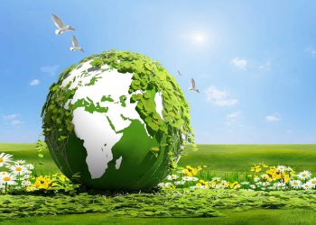 Yeşil Dönüşüm Destek Programı uygulamaya alınıyor