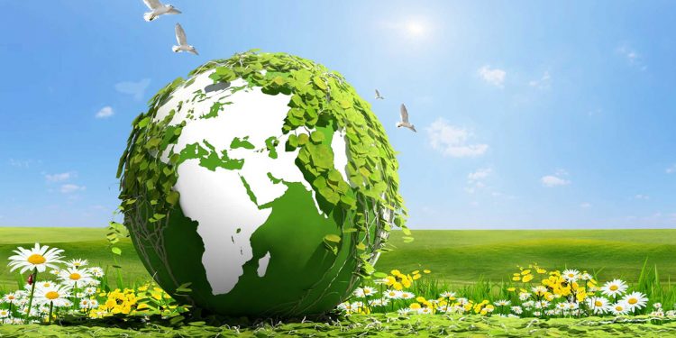 Yeşil Dönüşüm Destek Programı uygulamaya alınıyor