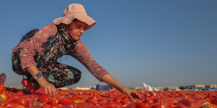 Türk tarımı üretimde ve  ihracatta çıta yükseltti