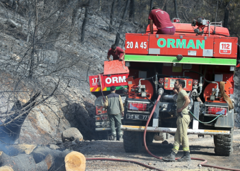 Orman Genel Müdürlüğü “korumayı” önceleyecek