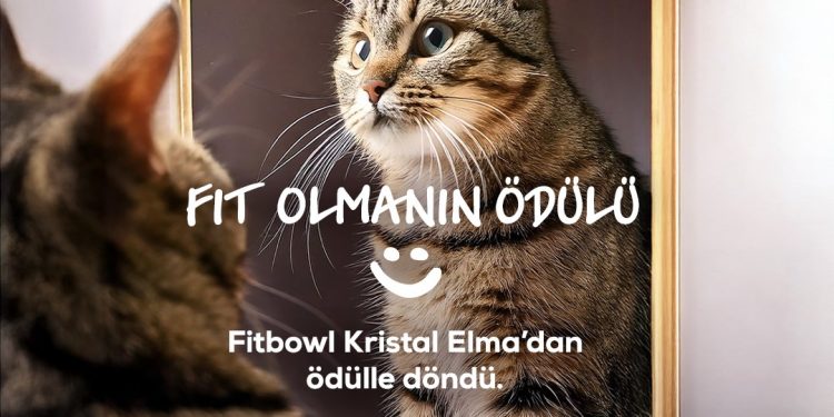 Kristal Elma Ödülleri’nde sekiz ödül kazandı