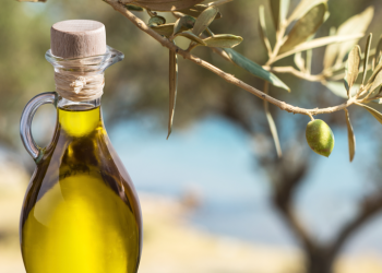 120 ülkeye 506 milyon dolarlık zeytinyağı sattık