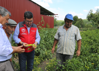 2025’te teminat altına hangi ürünler alınacak?