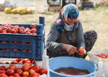 Tarlada üretim sorunu pazarda alımı zora soktu