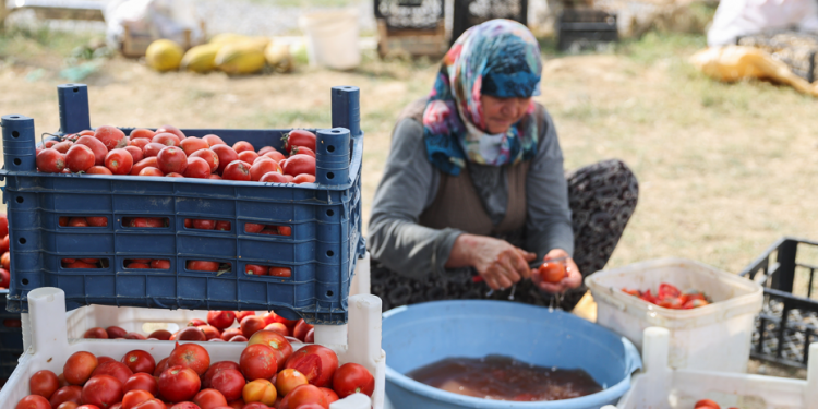 Tarlada üretim sorunu pazarda alımı zora soktu