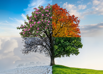 “Mevsim”le harcamalar anlık ödemeler dönemsel