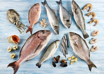 Türkiye’nin su ürünleri  ihracatı 2 milyar doları aştı