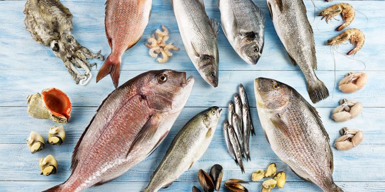 Türkiye’nin su ürünleri  ihracatı 2 milyar doları aştı