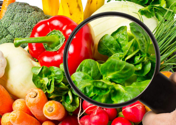 Güvenli gıda arzı için yasal takip devreye alındı